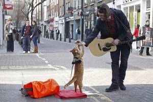 В Лондоне уличные музыканты переходят на безналичный расчет