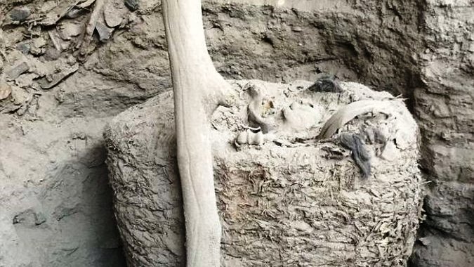 В Перу нашли мумию в хлопковом саркофаге
