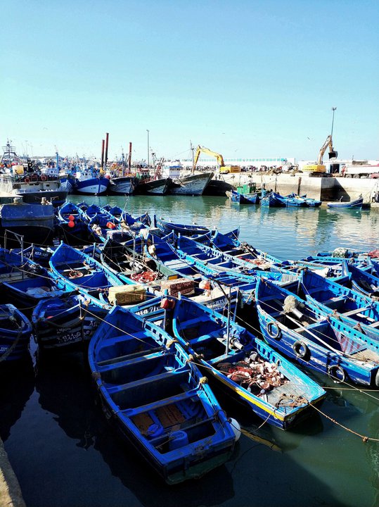 Фотоотдых. Как выглядят синий город в Марокко и оазис вдоль самой большой реки в стране