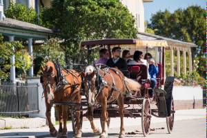 В Барселоне туристы на лошадях объявлены вне закона