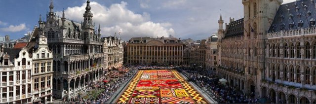 В Брюсселе развернут мексиканский цветочный ковер