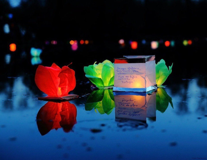Фестивали водных фонарей и светящихся шаров, посадка сакуры. Куда сходить в выходные в Витебске