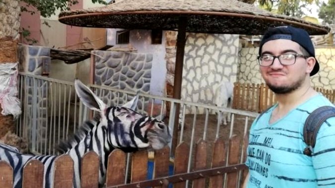 Зоопарку нужна зебра — там покрасили осла