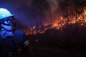 Пожары на юге Европы: вместе с Португалией горит Испания