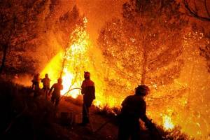 В Испании и Португалии не удается потушить лесные пожары