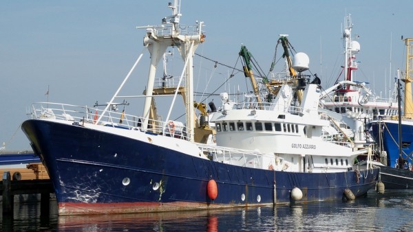 Испания входит в список пяти стран – лидеров промышленной рыбной ловли