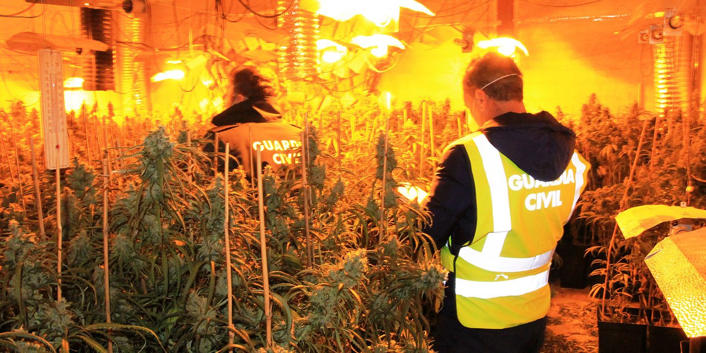 Поставками марихуаны из Испании в Великобританию стала заниматься китайская мафия