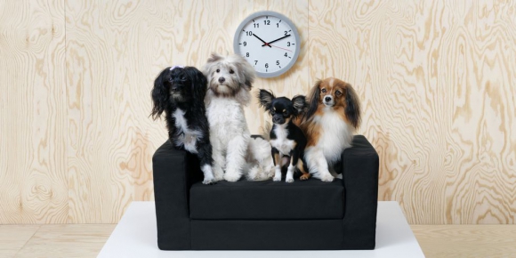 IKEA продает в Испании мебель для домашних животных