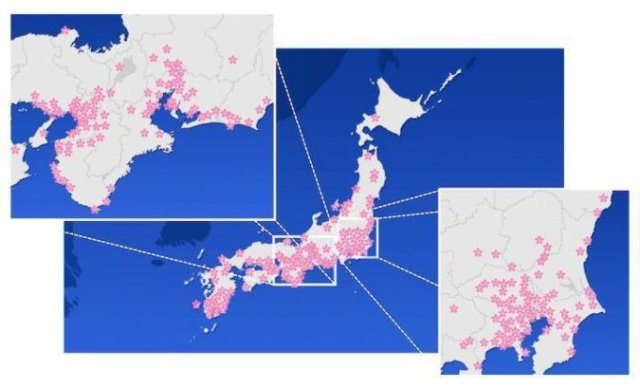 Из-за тайфунов в Японии расцвела сакура