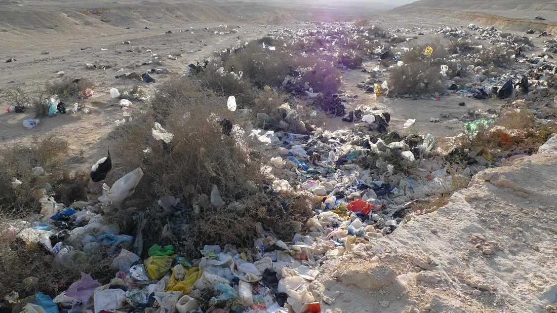 Хургаду для туристов очистят от летающих пакетов: запрещены любые одноразовые пластики