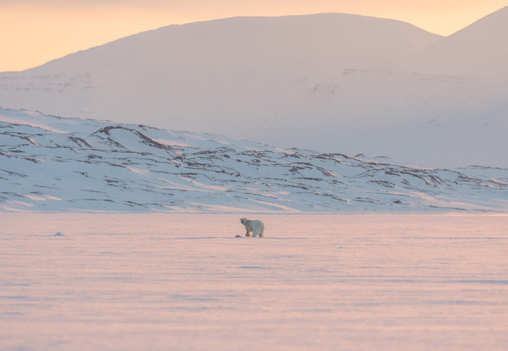 На Северном полюсе появится первый отель. Это будут стеклянные капсулы с подогревом