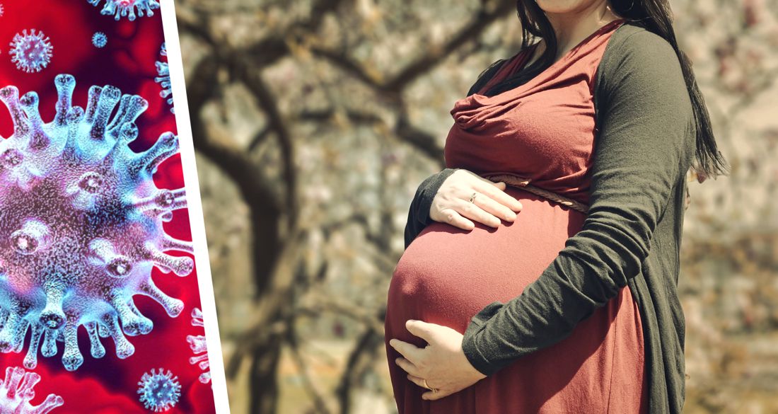 Новое исследование: коронавирус бессимптомно заражает беременных женщин