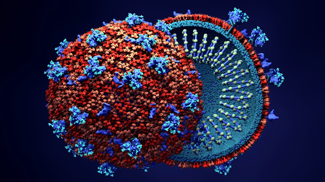 У Covid-19 нашли близкого родственника: новый коронавирус может стать героем новой эпидемии
