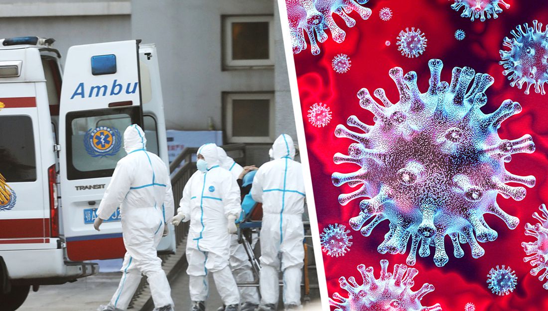 Российский биолог: через две недели Россию накроет вторая волна коронавируса