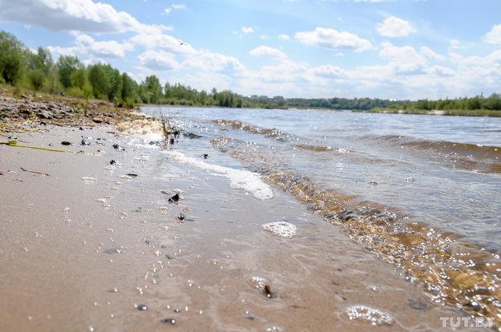 Экологи пытаются спасти Полесье и Припять от водного пути Е40 и зовут всех в путешествие по реке