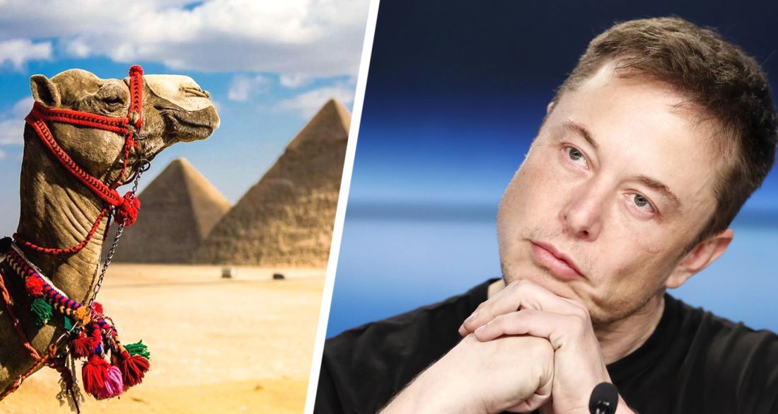 Египет пригласил Илона Маска посетить Великие Пирамиды Гизы