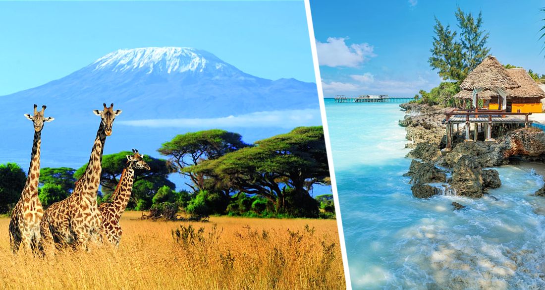 Coral Travel запускает чартер на Занзибар: озвучены расписание и цены на туры в Танзанию