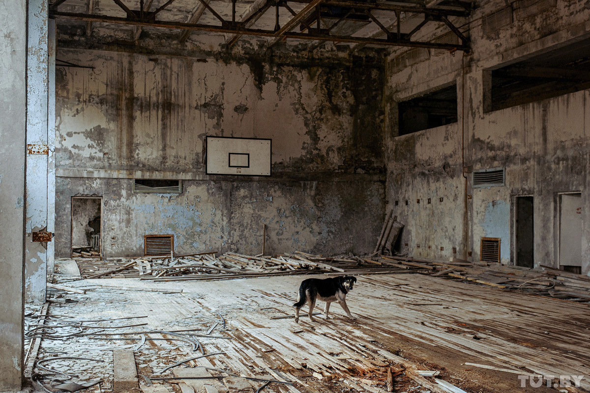 Город-призрак, Чернобыльская АЭС, «Рыжий лес» и секретная «Дуга-1». Как выглядит Чернобыльская зона 35 лет спустя