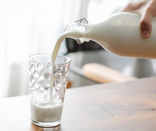 Ученые из Мадрида ведут новаторские исследования свойств кобыльего молока