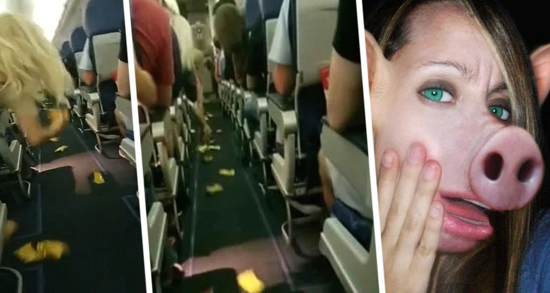 Пассажиров в самолетах начали кормить как свиней: стюардессы кидают еду прямо на пол
