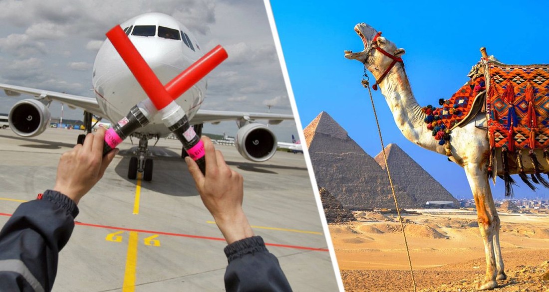 Авиасообщение с Египтом решено прервать из-за омикрона: начинается массовая эвакуация туристов