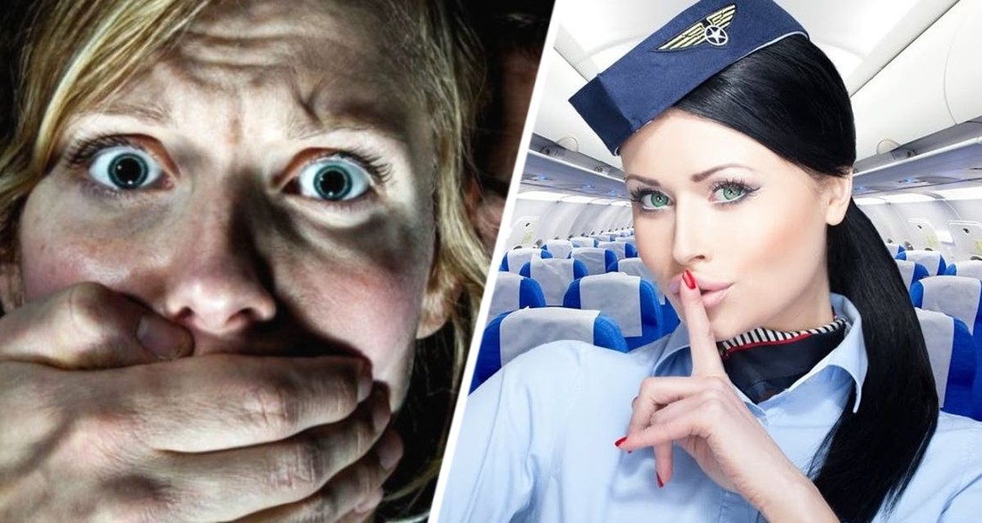 Стюардесса рассказала о самых странных местах в самолете, где она находила фекалии